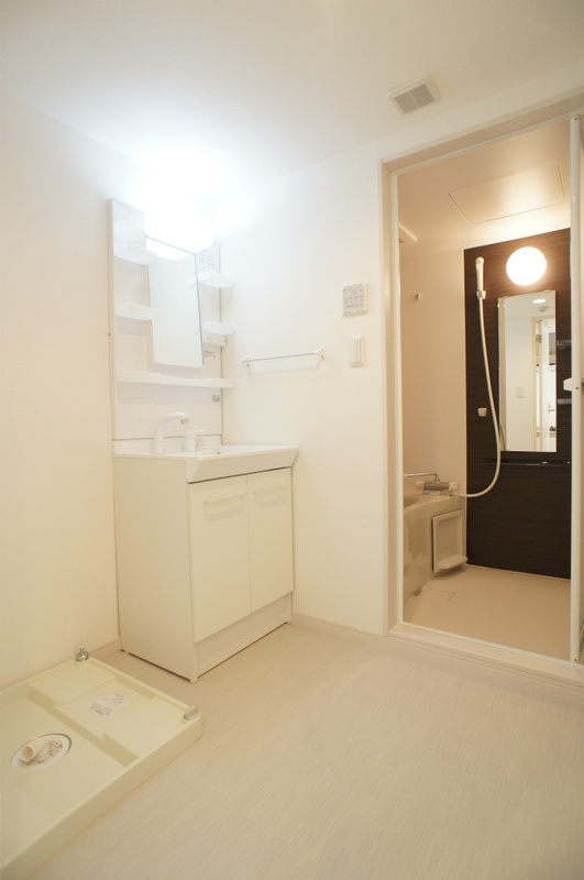リブリ・メゾン・樹の洗面所