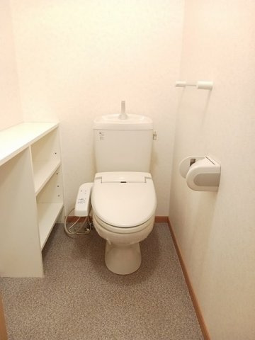 アルカディアＣのトイレ|トイレも気になるポイント