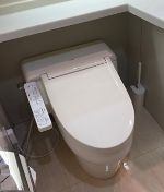 アスコットパーク住吉テラステージのトイレ|落ち着いた色調のトイレです