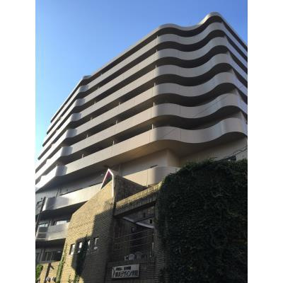 レヂデンス・リバーストーンの外観