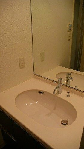 Ｌ－Ｆｌａｔ入谷の洗面所