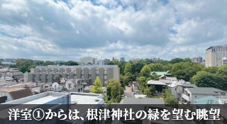 【展望】