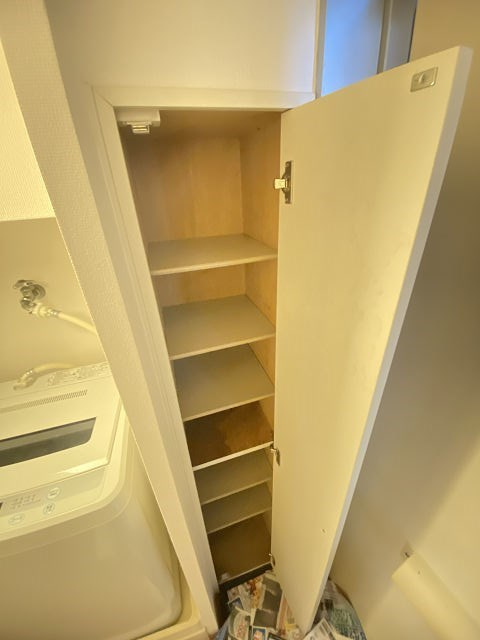 尼崎市南武庫之荘９丁目のアパートの収納|こまごまとしたものを収納できそうですね
