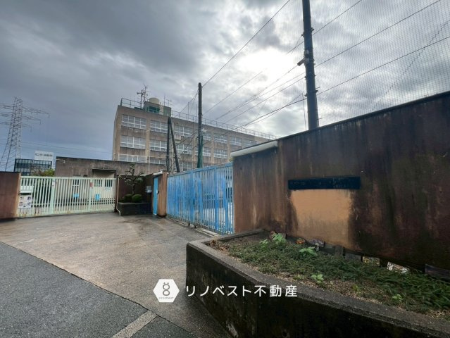 東大阪市長田西2丁目の周辺|藤戸小学校まで徒歩約7分♪