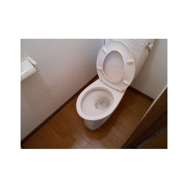アムールＨａｓｈｉｍｏｔｏⅡのトイレ