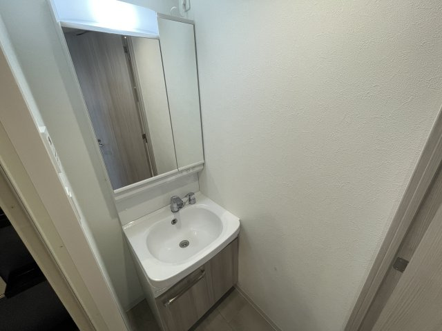 プレサンス塚本ベラビィの洗面所