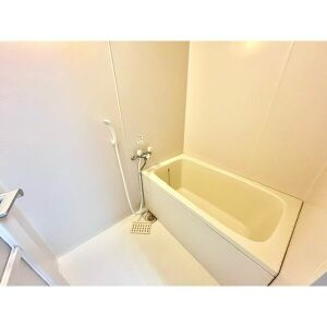 神戸市灘区宮山町２丁目の賃貸マンションの浴室
