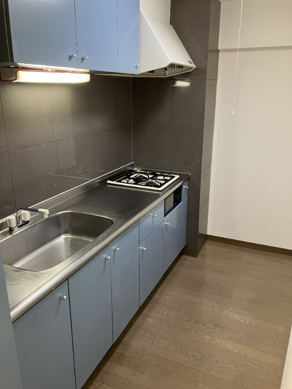 杉並区井草４丁目の賃貸マンションのキッチン|使いやすいキッチンです