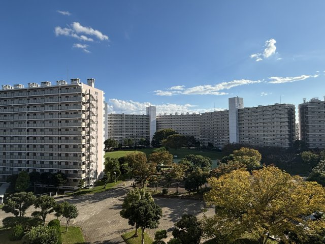 【その他】