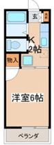 ルミエールの画像