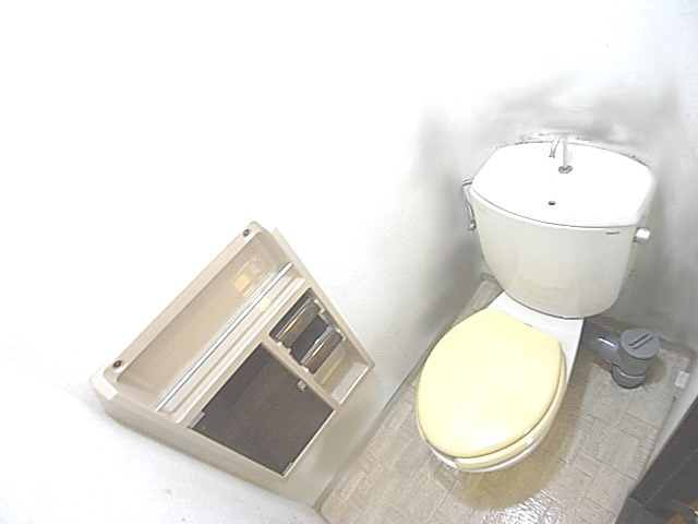 タウニーモイスンＤ棟のトイレ