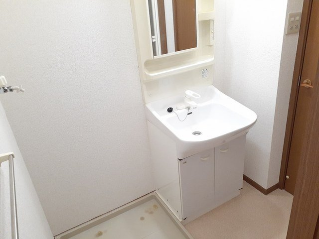 グレースメゾン西原の洗面所