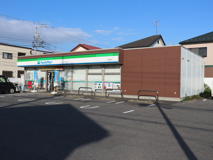 アリッサムⅡの周辺