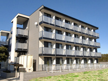 アコールの画像