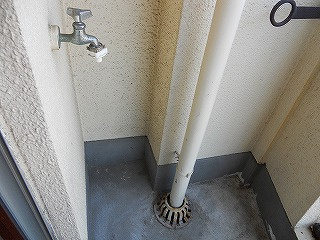  | ヤングラス