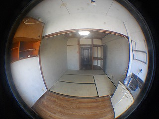  | ヤングラス