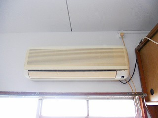  | ヤングラス