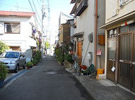 島田文化の画像