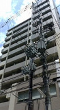 フロイデの画像