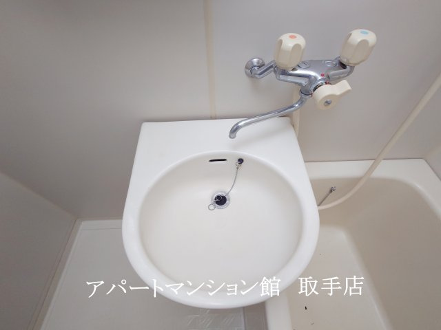 ムカイハラハイツAの洗面所