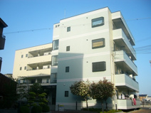 カサド・エムズの画像