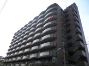 コート・サンファインの画像