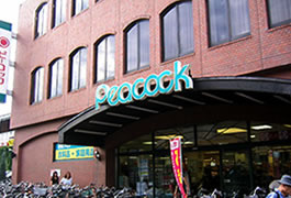 【周辺】 | デザインコート宮前(久我山賃貸一戸建て) | ピーコック