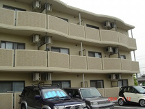 フィール白い雲の画像