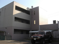 エリカⅡの画像