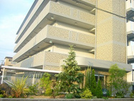 グラディートの画像