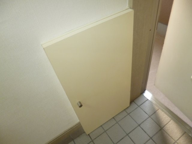 倉敷市老松町５丁目のアパートの内装|シューズボックス