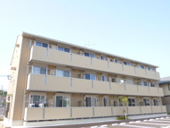 セブンシーズの画像