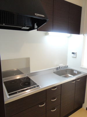 【キッチン】 | レオネクスト大都