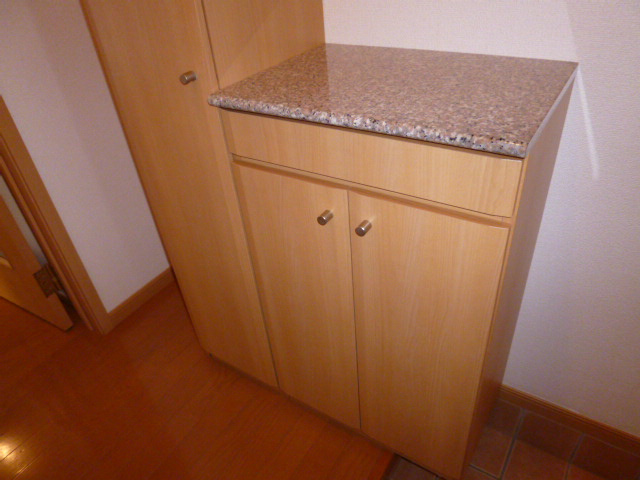 スクエア・レジデンスＢの玄関|シューズボックス