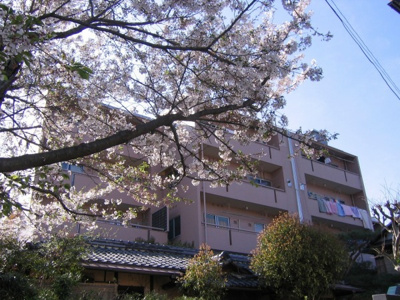 【外観】 | 仁川月見ガ丘マンション