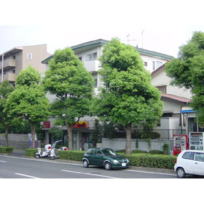【外観】 | ドミール平台