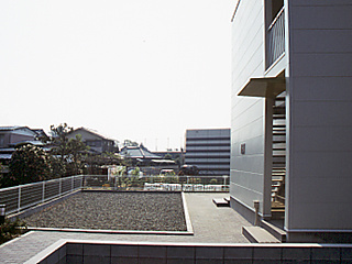 【エントランス】 | こあみ　Ｙ．Ｍ