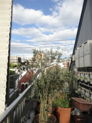 【展望】 | プレイントゥリーハイツ