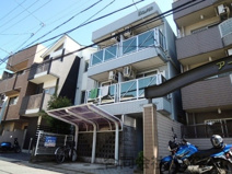 ネオパルマの画像