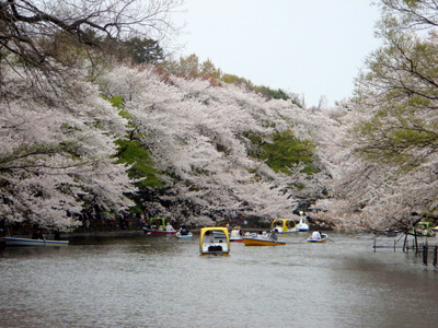 【周辺】 | 井の頭パーク・プラザ |  井の頭パーク・プラザ