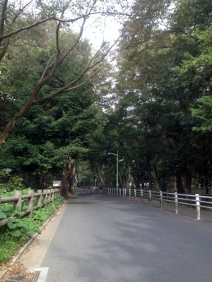 【周辺】 | 井の頭パーク・プラザ |  井の頭パーク・プラザ