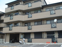 ＫｏｒＬｏｆｆ51の画像