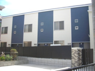 メイプルの画像