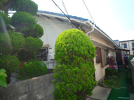 原住宅の画像