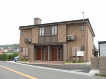 コスモスAの画像