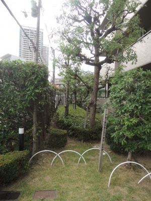 【その他共用部分】 | サーパス宝塚