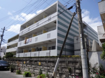 コーラルアイルの画像