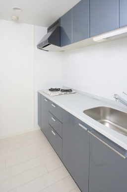 エンクレスト薬院Ⅱのキッチン|エンクレスト薬院Ⅱ（2K）　キッチン