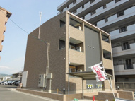 グレイシィーＹ・Ｋの画像