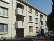 トリヴァン加守田の画像